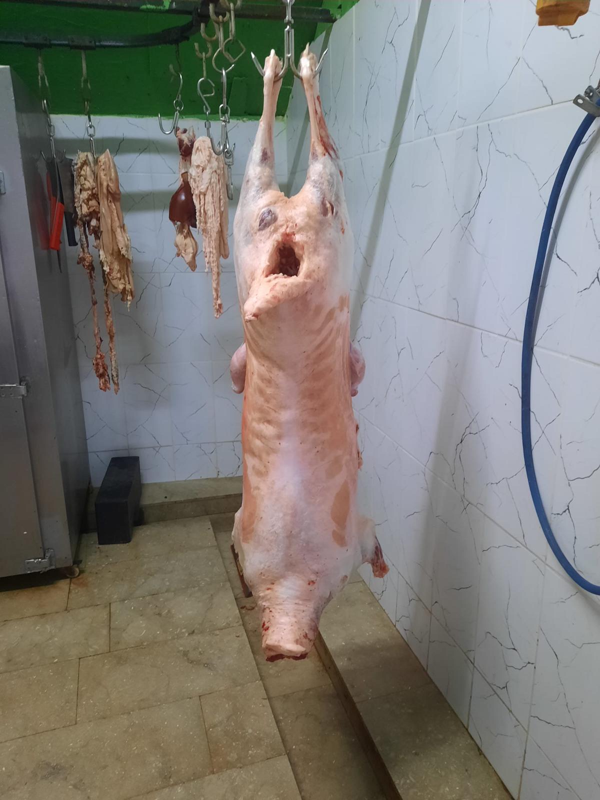 Sezer Adak Fotoğraf - 9